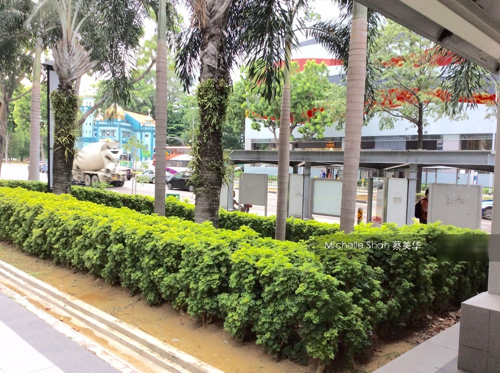 Blk 461 Crawford Lane (Kallang/Whampoa), HDB 5 Rooms #117813822